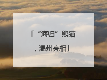 “海归”熊猫，温州亮相