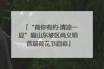 “荷你有约·清凉一夏”眉山东坡区尚义镇首届荷花节启幕