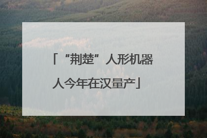 “荆楚”人形机器人今年在汉量产