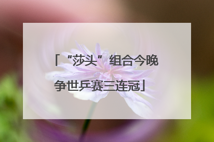 “莎头”组合今晚争世乒赛三连冠