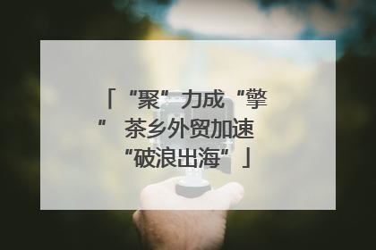 “聚”力成“擎” 茶乡外贸加速“破浪出海”