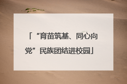 “育苗筑基、同心向党”民族团结进校园
