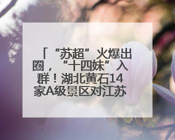 “苏超”火爆出圈，“十四妹”入群！湖北黄石14家A级景区对江苏游客免票