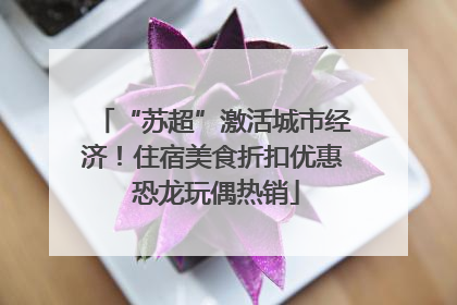 “苏超”激活城市经济！住宿美食折扣优惠 恐龙玩偶热销