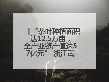 “茶叶种植面积达12.5万亩，全产业链产值达57亿元” 浙江武义茶产业全链发展“加速度”