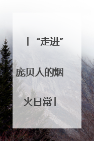 “走进”庞贝人的烟火日常