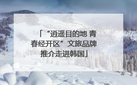 “逍遥目的地 青春经开区”文旅品牌推介走进韩国