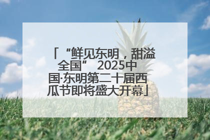 “鲜见东明，甜溢全国” 2025中国·东明第二十届西瓜节即将盛大开幕