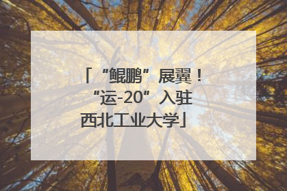 “鲲鹏”展翼！“运-20”入驻西北工业大学