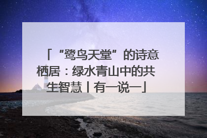“鹭鸟天堂”的诗意栖居：绿水青山中的共生智慧丨有一说一