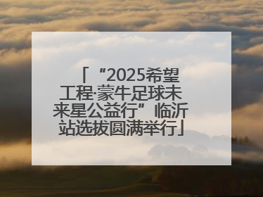 “2025希望工程·蒙牛足球未来星公益行”临沂站选拔圆满举行
