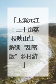 玉溪元江：三千亩荔枝映山红 解锁“甜蜜版”乡村游
