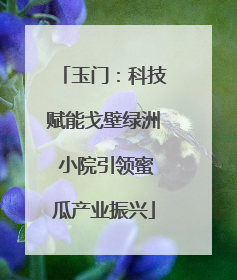 玉门：科技赋能戈壁绿洲 小院引领蜜瓜产业振兴
