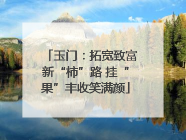 玉门：拓宽致富新“柿”路 挂“果”丰收笑满颜