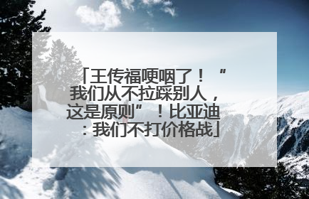 王传福哽咽了！“我们从不拉踩别人，这是原则”！比亚迪：我们不打价格战