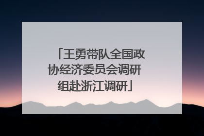 王勇带队全国政协经济委员会调研组赴浙江调研