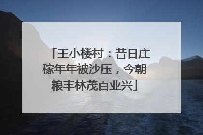 王小楼村：昔日庄稼年年被沙压，今朝粮丰林茂百业兴