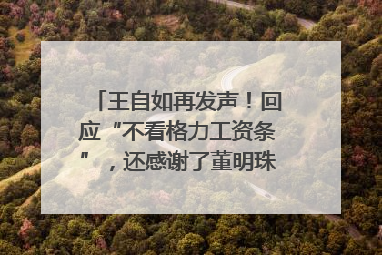 王自如再发声！回应“不看格力工资条”，还感谢了董明珠和雷军｜热财经