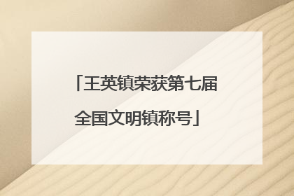 王英镇荣获第七届全国文明镇称号