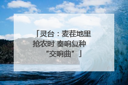 灵台：麦茬地里抢农时 奏响复种“交响曲”