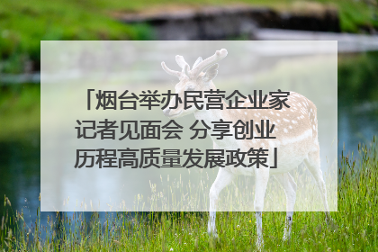 烟台举办民营企业家记者见面会 分享创业历程高质量发展政策