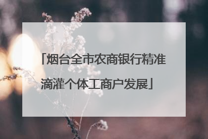烟台全市农商银行精准滴灌个体工商户发展