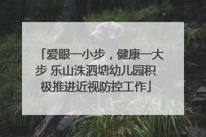 爱眼一小步，健康一大步 乐山洙泗塘幼儿园积极推进近视防控工作