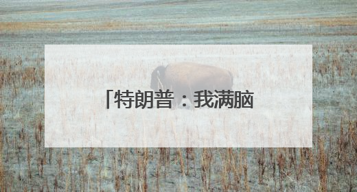 特朗普：我满脑子都是中国，没空搭理马斯克