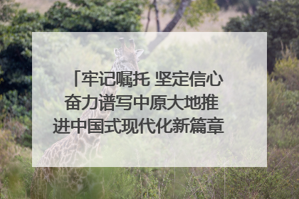 牢记嘱托 坚定信心 奋力谱写中原大地推进中国式现代化新篇章（六）河南绘就“行走河南·读懂中国”新画卷丨牢记嘱托谱新篇