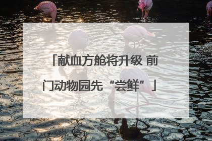 献血方舱将升级 前门动物园先“尝鲜”