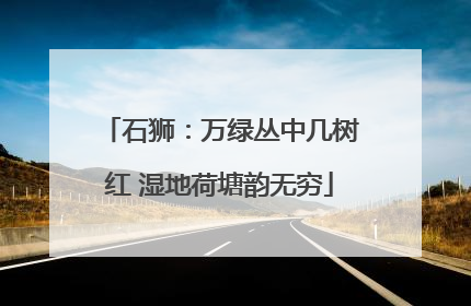 石狮：万绿丛中几树红 湿地荷塘韵无穷
