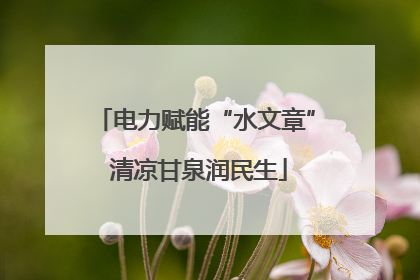 电力赋能“水文章” 清凉甘泉润民生