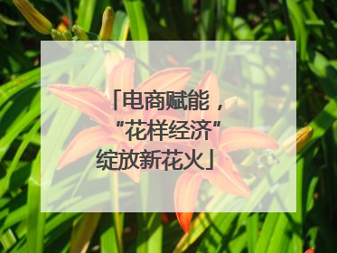 电商赋能，“花样经济”绽放新花火