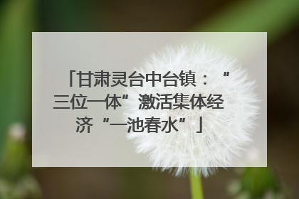 甘肃灵台中台镇：“三位一体”激活集体经济“一池春水”