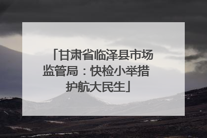 甘肃省临泽县市场监管局：快检小举措 护航大民生