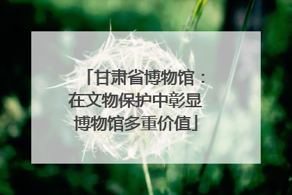甘肃省博物馆：在文物保护中彰显博物馆多重价值