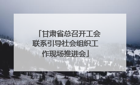 甘肃省总召开工会联系引导社会组织工作现场推进会