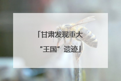 甘肃发现重大“王国”遗迹