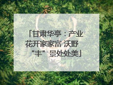 甘肃华亭：产业花开家家富 沃野“丰”景处处美