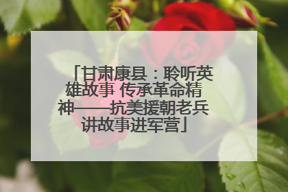 甘肃康县：聆听英雄故事 传承革命精神——抗美援朝老兵讲故事进军营