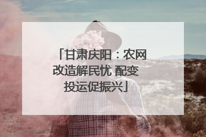 甘肃庆阳：农网改造解民忧 配变投运促振兴
