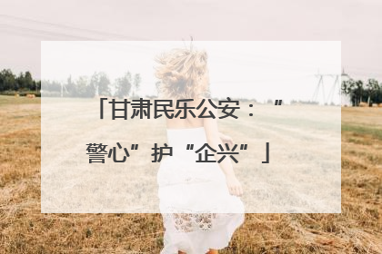 甘肃民乐公安：“警心”护“企兴”