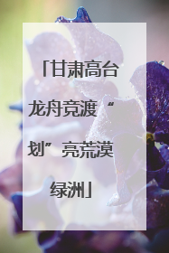 甘肃高台龙舟竞渡“划”亮荒漠绿洲