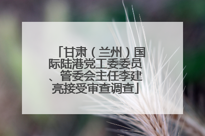 甘肃（兰州）国际陆港党工委委员、管委会主任李建亮接受审查调查