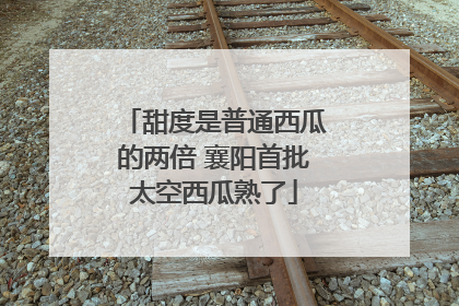 甜度是普通西瓜的两倍 襄阳首批太空西瓜熟了