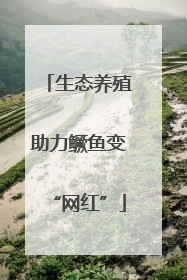 生态养殖助力鳜鱼变“网红”