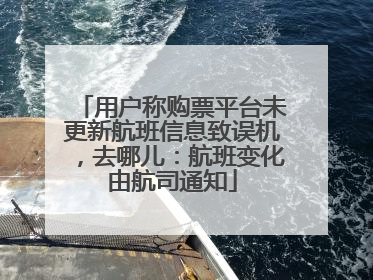 用户称购票平台未更新航班信息致误机，去哪儿：航班变化由航司通知