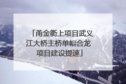 甬金衢上项目武义江大桥主桥单幅合龙 项目建设提速