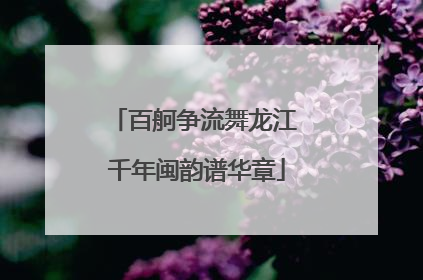百舸争流舞龙江 千年闽韵谱华章