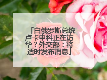 白俄罗斯总统卢卡申科正在访华？外交部：将适时发布消息